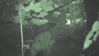 Cuties at Night