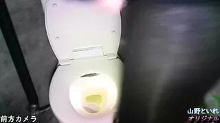 15391712 Mountain public toilet, 2 turtles ⑬