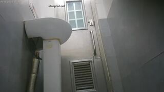 Park Toilet 8