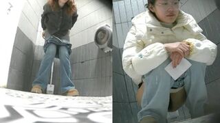 Womens Toilet In a Bar 6