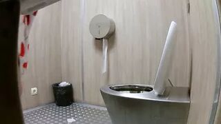 newstreettoilet-23