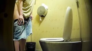 PublictoiletSL74 vol 226