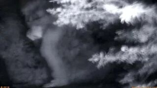 Beer Festival Summary 0041