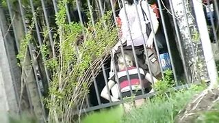 Pee Compilation 81