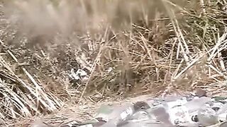 Pee Compilation 59