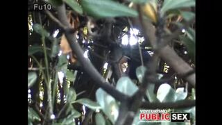 CLIP_251_Voyeurismopublicsex