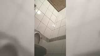 Scenic_Womens_Toilet_3