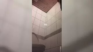 Scenic_Womens_Toilet_1