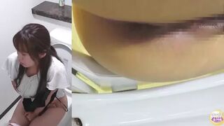 DLSL-500 05 In-house voyeur. Constipation. Woman’s feces record. Hard stool and laxative loose stool days. VOL. 2