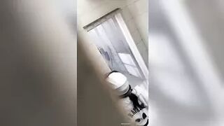 Ditch_Toilet_2