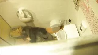 28103899 Hi-Vision Western-style toilet aerial video 10 people recorded