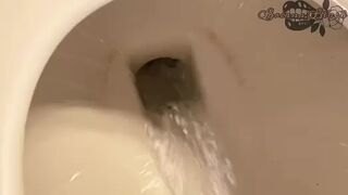 BW Going To Bathroom On Toilet Compilation