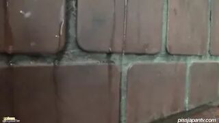 Piss Runs Down the Stairs