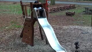 Annie - On the slide again (037)