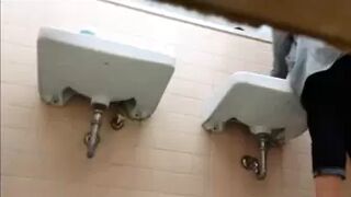JAV wc 8