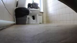 Toilet in the clinic-39 2020 New