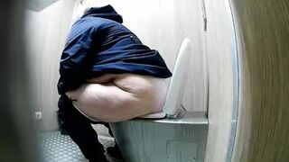 PublictoiletSL74 813