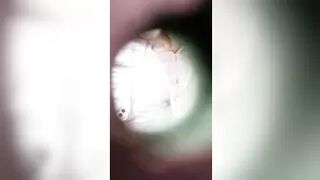 filmed in a public female toilet (hidden camera)