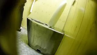 PublictoiletSL74 vol 550