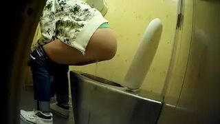 PublictoiletSL74 vol 536