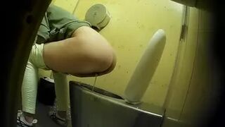 PublictoiletSL74 vol 532