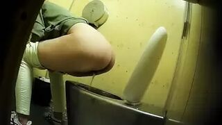 PublictoiletSL74 vol 532