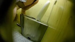 PublictoiletSL74 vol 530