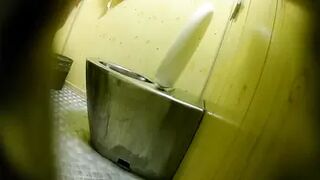 PublictoiletSL74 vol 530