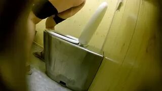 PublictoiletSL74 vol 523