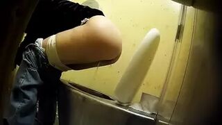 PublictoiletSL74 vol 513