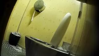 PublictoiletSL74 vol 512