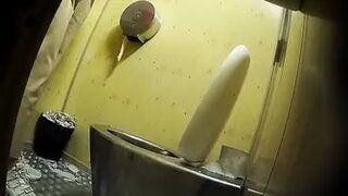 PublictoiletSL74 vol 511