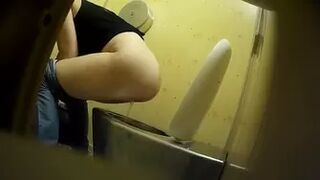 PublictoiletSL74 vol 500