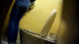 PublictoiletSL74 vol 495