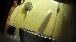 PublictoiletSL74 vol 474