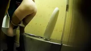 PublictoiletSL74 vol 458