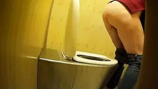 PublictoiletSL74 vol 453