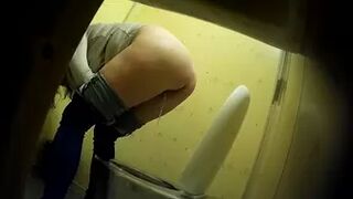 PublictoiletSL74 vol 448