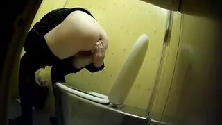 PublictoiletSL74 vol 440