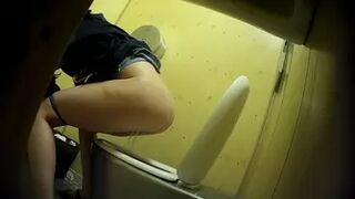 PublictoiletSL74 vol 434