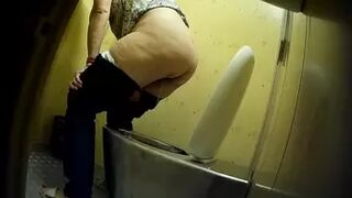 PublictoiletSL74 vol 429