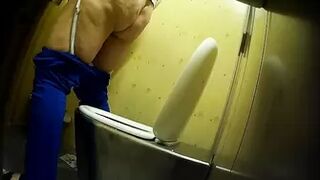 PublictoiletSL74 vol 425