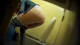 PublictoiletSL74 vol 423