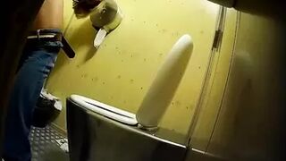 PublictoiletSL74 vol 420