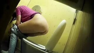 PublictoiletSL74 vol 405