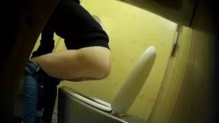 PublictoiletSL74 vol 401