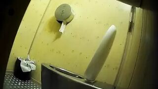 PublictoiletSL74 vol 396