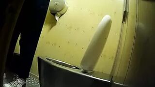 PublictoiletSL74 vol 387