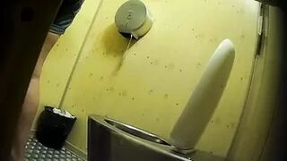 PublictoiletSL74 vol 372