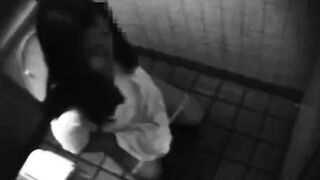 Japanese Voyeur Toilet 15319566